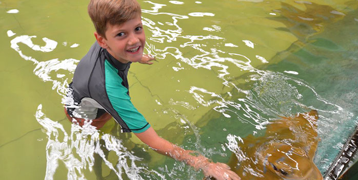 school excursions to Irukandji