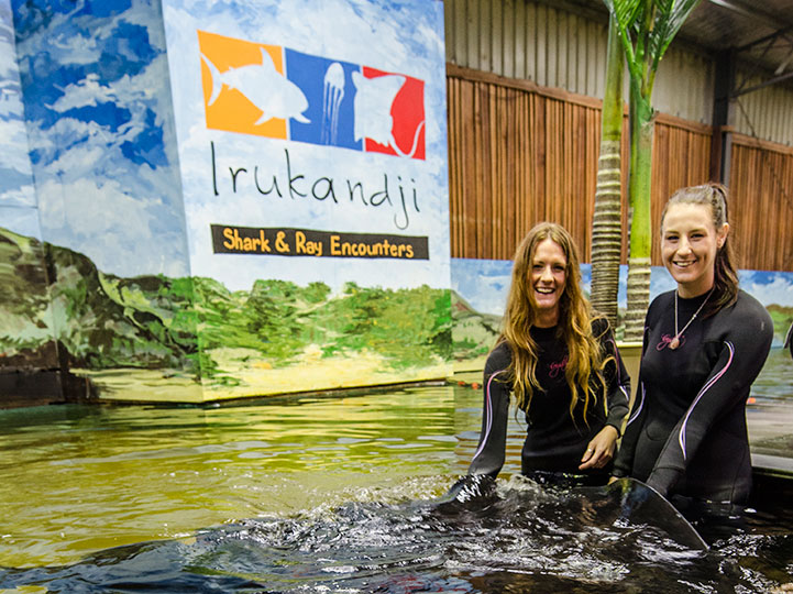 Shark Encounter mission-promise