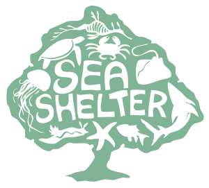 Sea Shelter