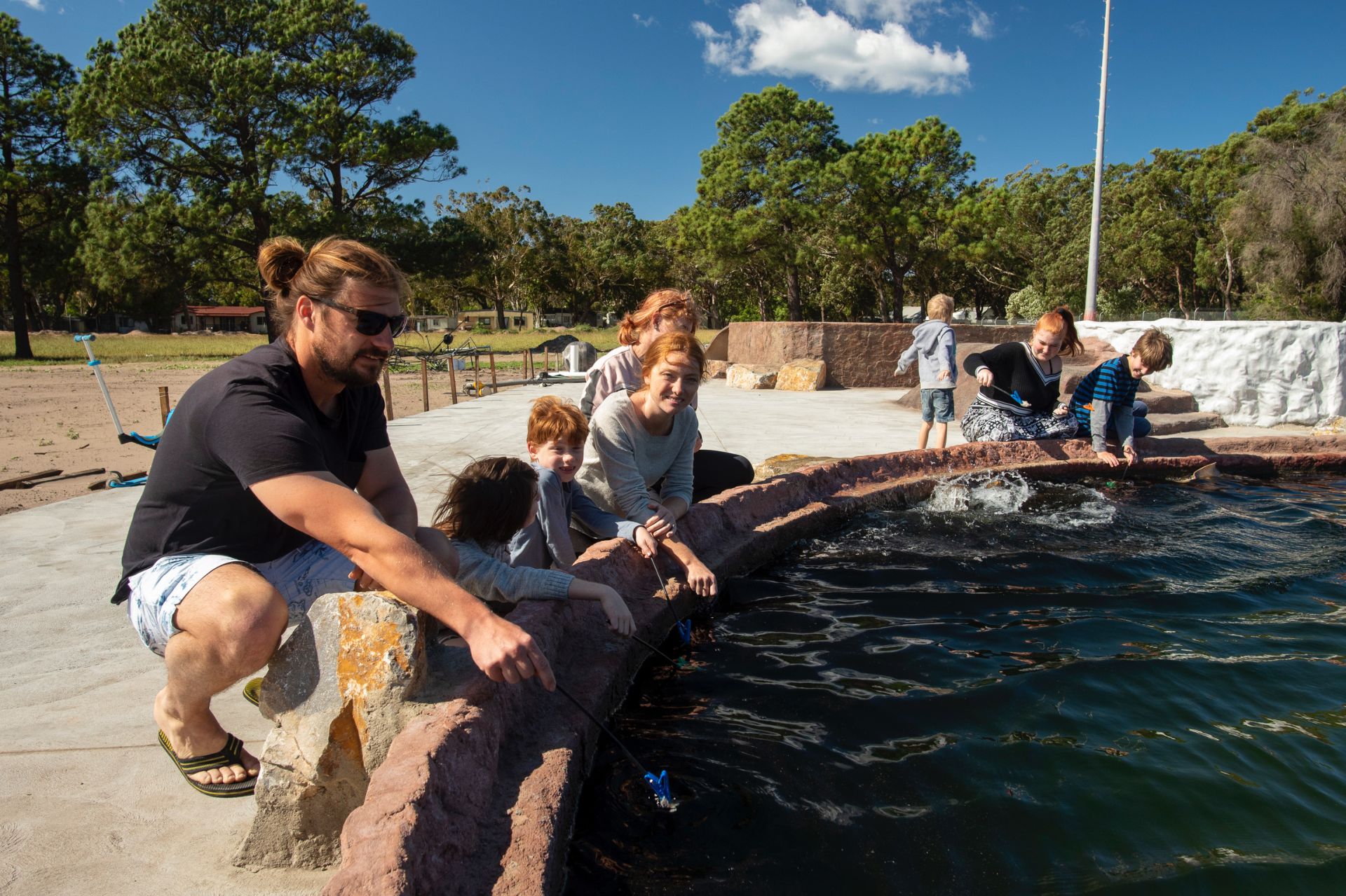 feeding sharks and rays from the pool edges