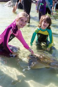 children feeding sharks and rays