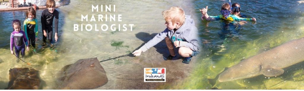 Mini Marine Biologist