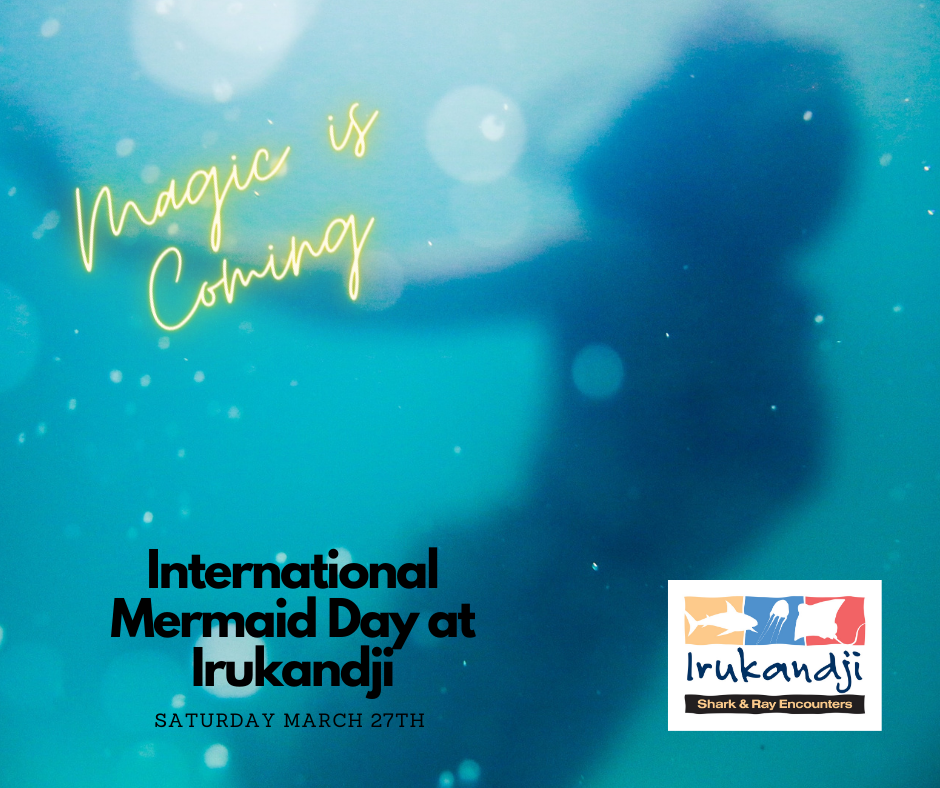 Mermaid Day