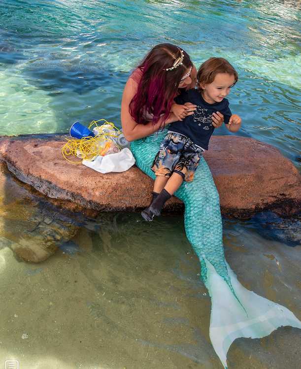 bronte Mermaid