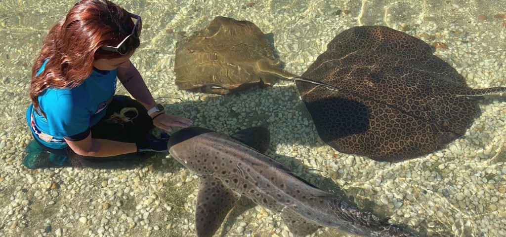 116540258_278304746800539_791205117029737866_n Embarking on a rewarding career at Irukandji Shark & Ray Encounters