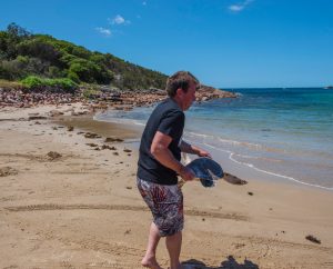 sea turtle release