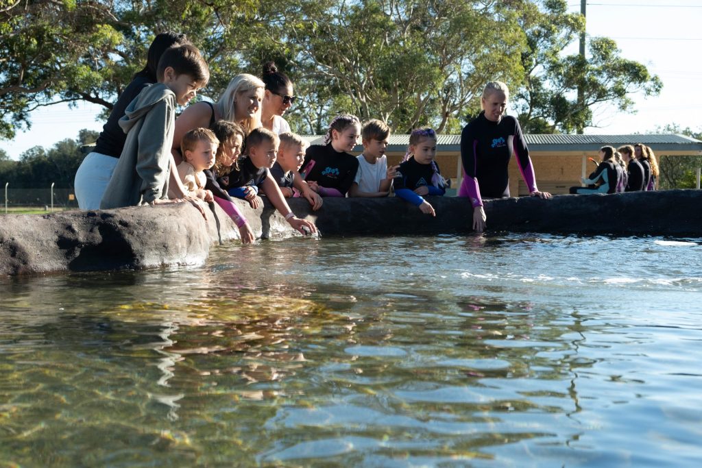 NEW LAGOON