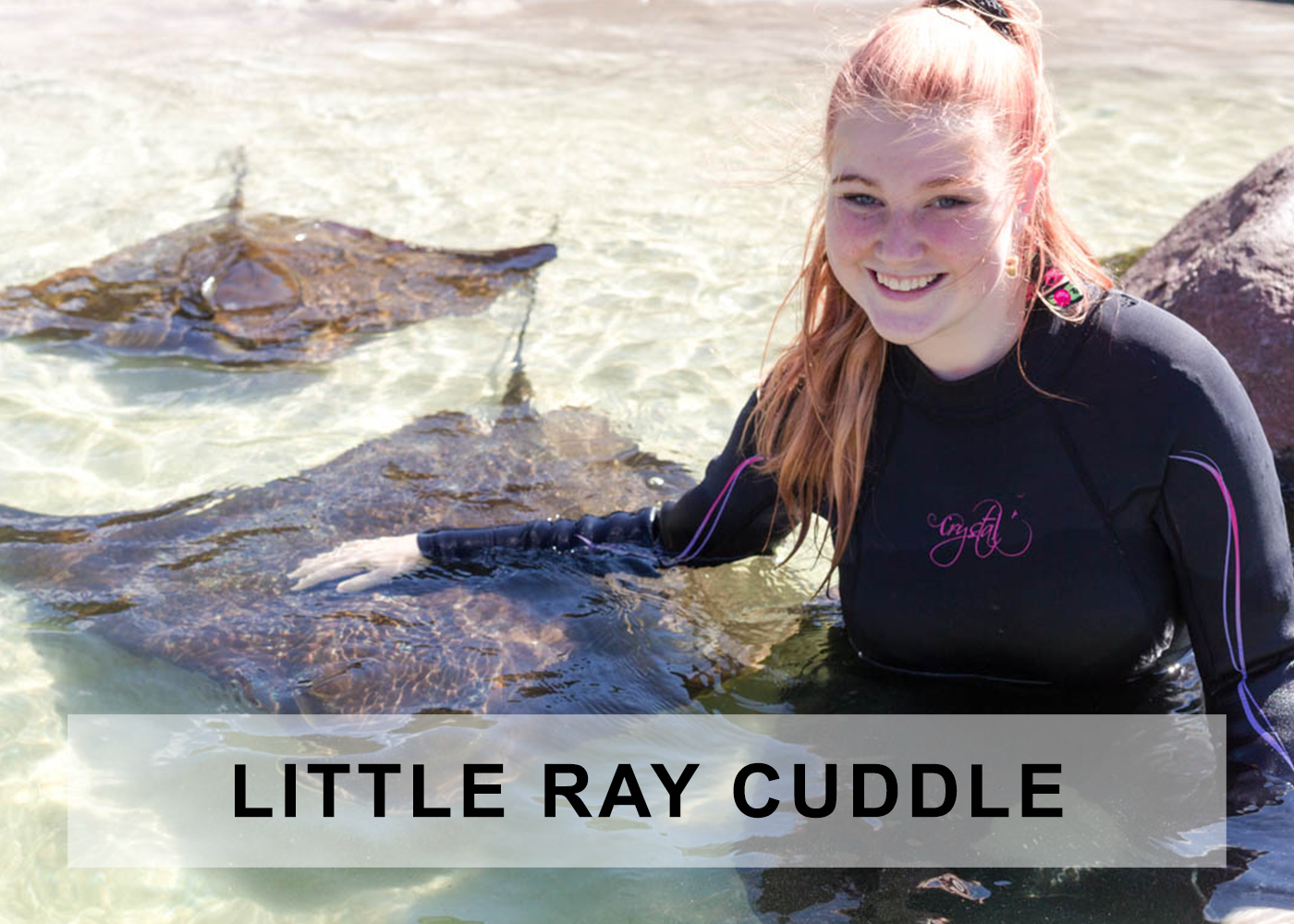 ray cuddle