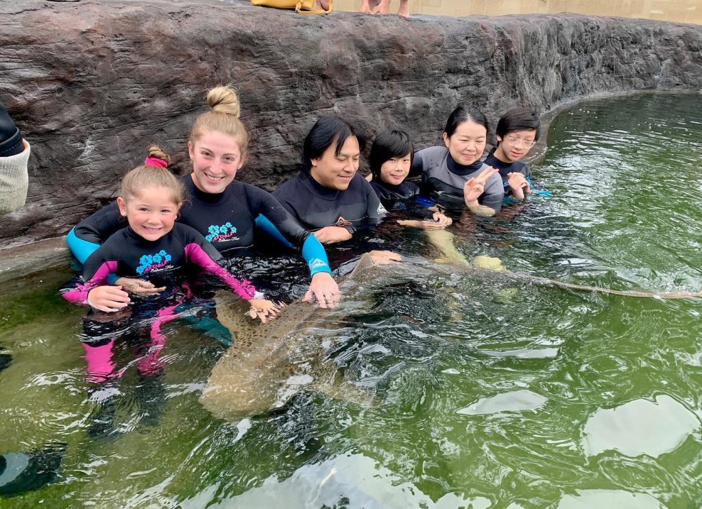Irukandji's new tropical lagoon