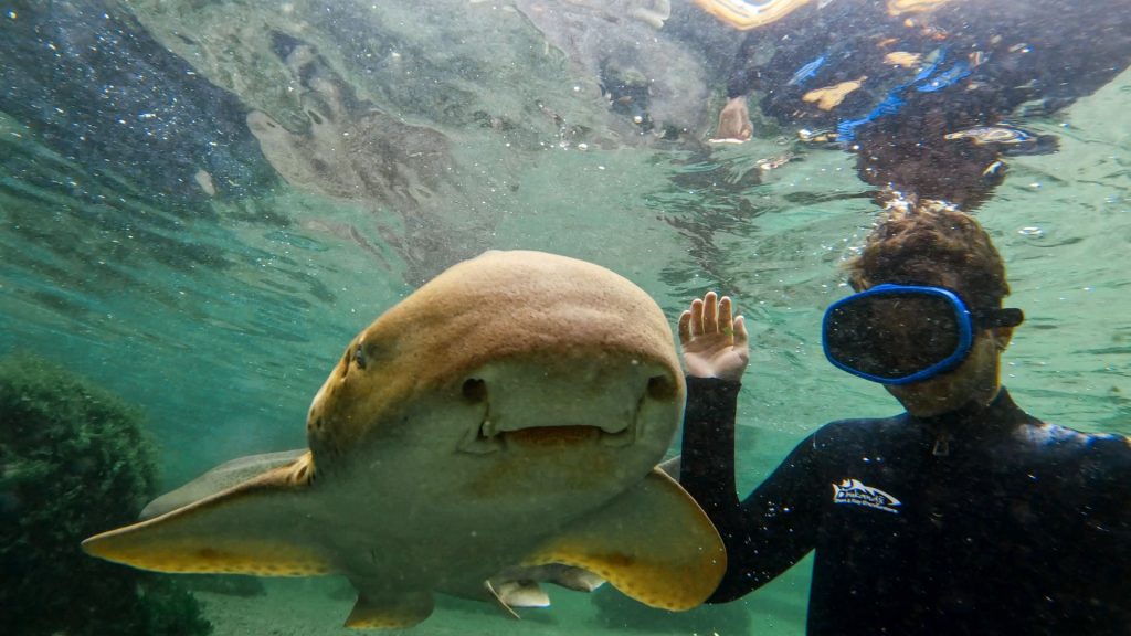 snorkeling fun