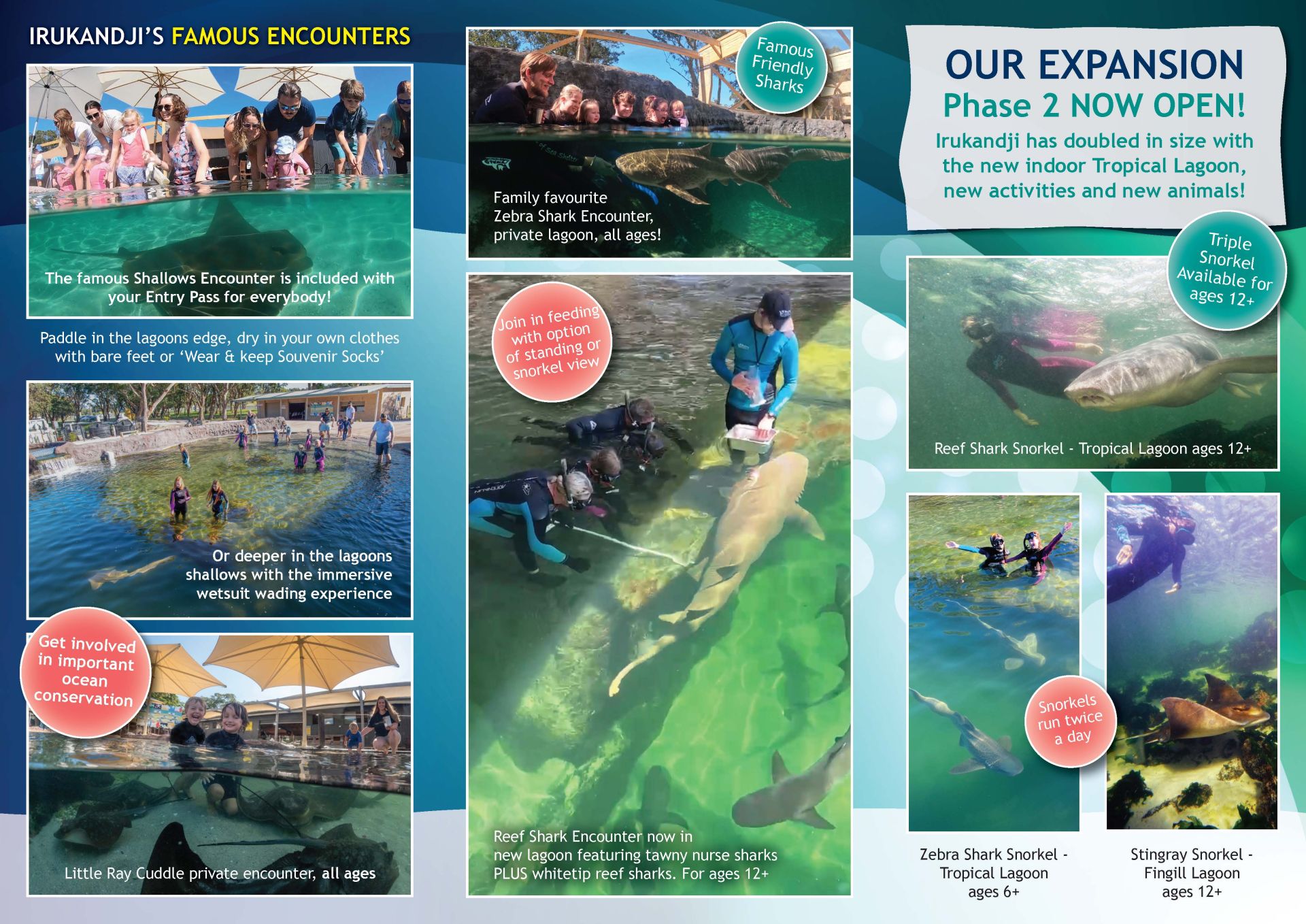Irukandji Shark & Ray Encounters 2023 Brochure, page 2