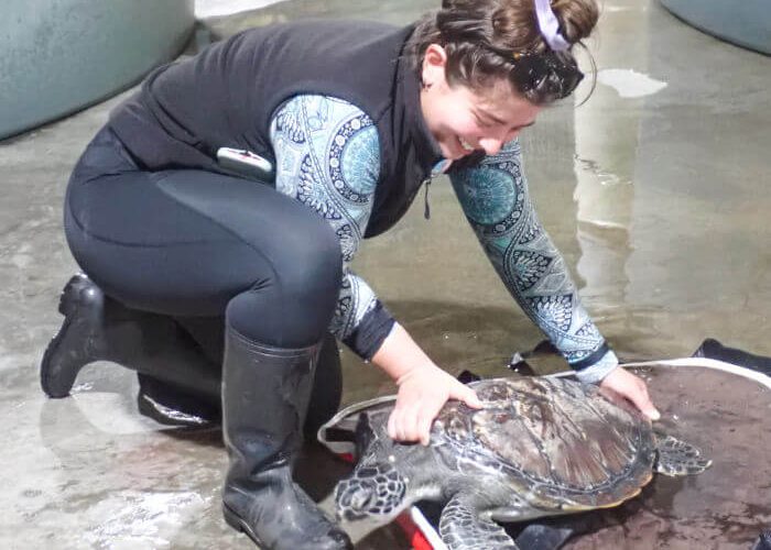 Animal Rescue Image 2