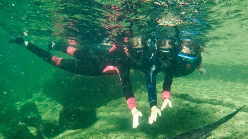 Coastal Currents Snorkel Featured Image