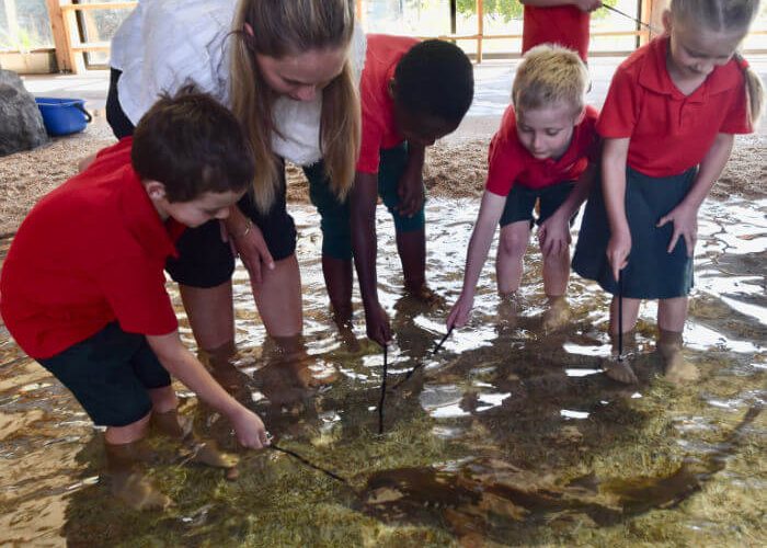 Primary School Excursions Image 4