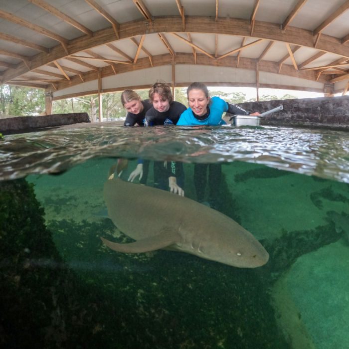 DCIM100GOPROGOPR1619.JPG