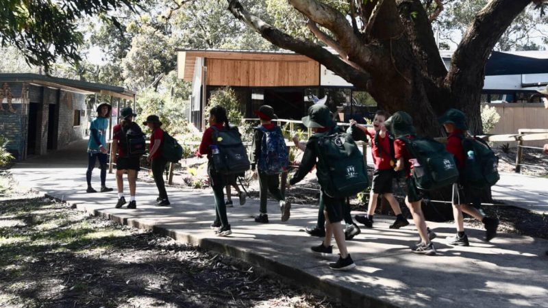 School Excursions Featured Image
