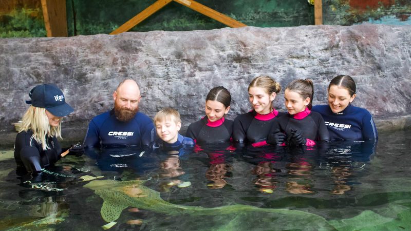 School Holiday Featured Image