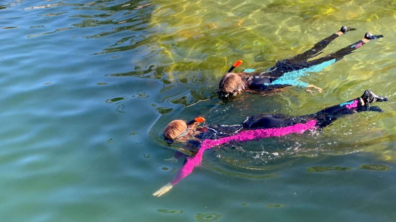 Snorkel Featured Image