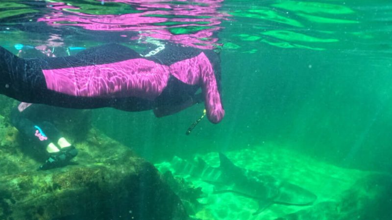 Uni-Tafe Excursions Featured Image
